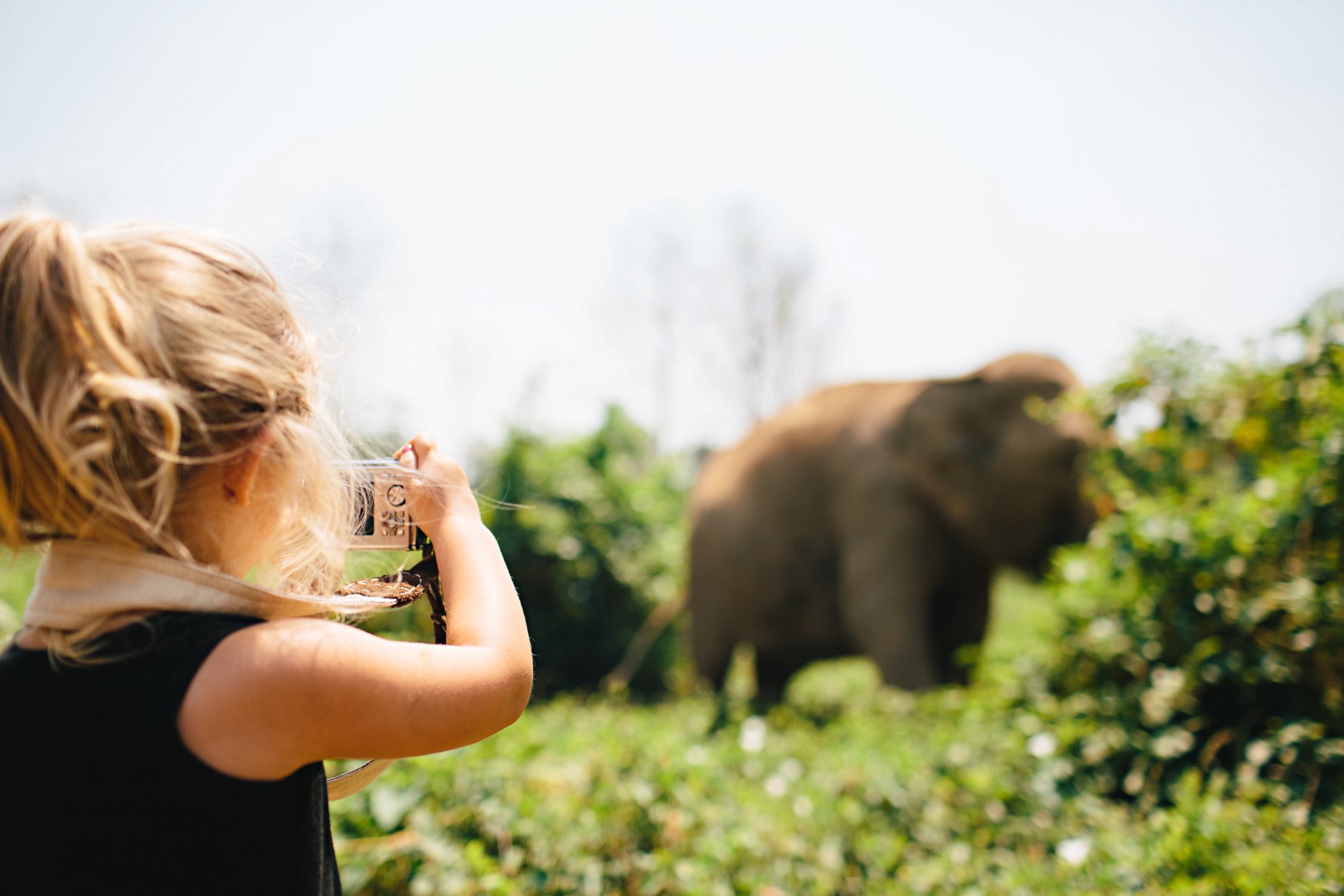 Our Days at Elephant Haven » Wayfarer Family