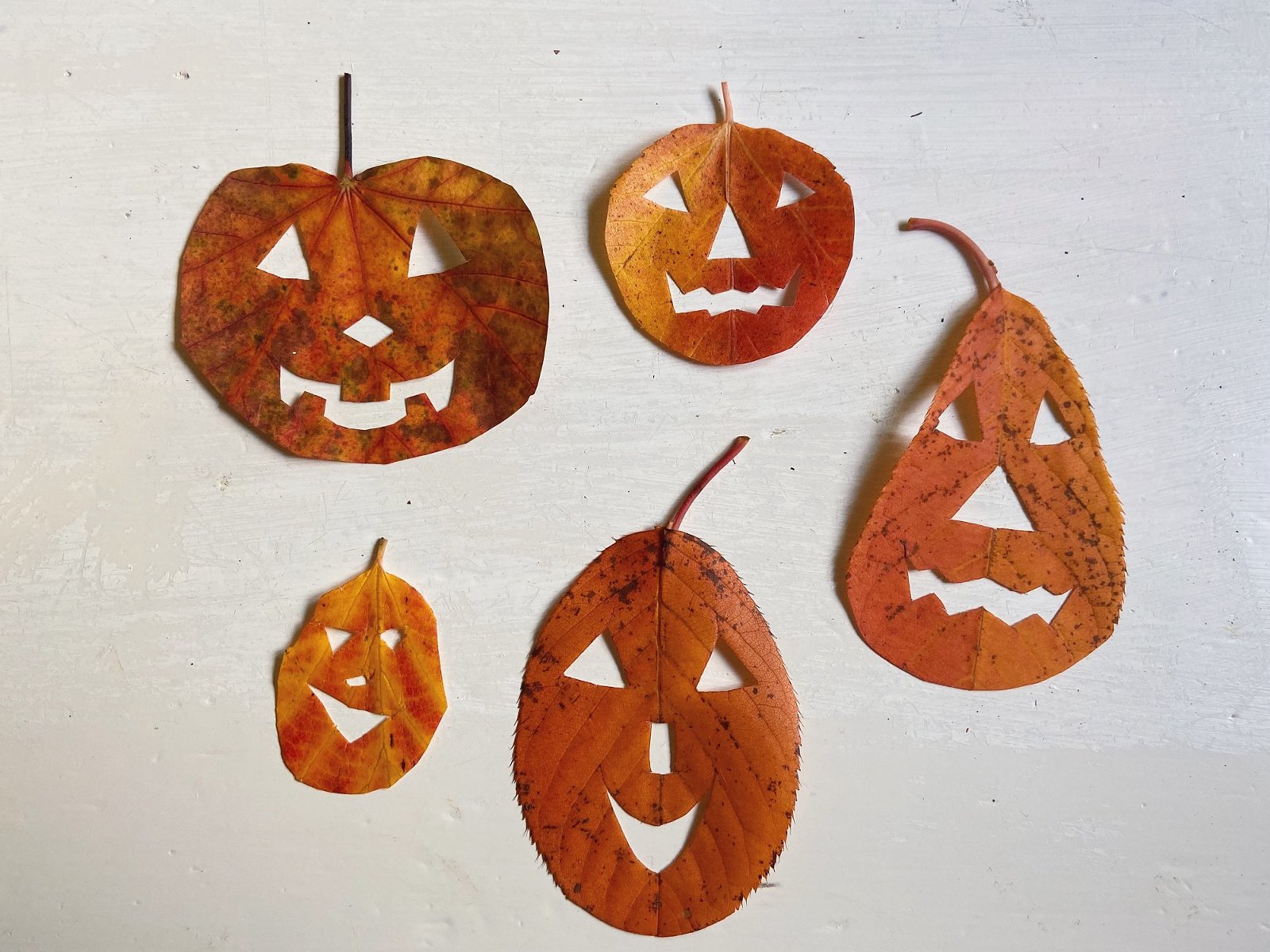 Leaf Jack-O-Lantern Craft » Wayfarer Family